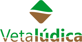 Veta Lúdica Logo